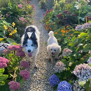 Furthest Point West Homestay Galway
